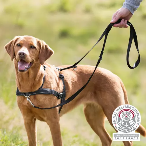 LeadnWalk Soft Szelki, S-M: 45-70cm/25mm, czarne