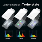Leddy Smart Bt Bia�y