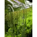 Lily Pipe skimmer 16/22mm