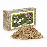 Mech torfowiec Sphagnum moss 150g