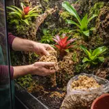 Mech torfowiec Sphagnum moss 500g