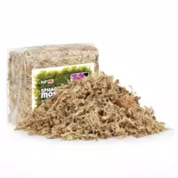 Mech torfowiec Sphagnum moss 50g