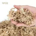 Mech torfowiec Sphagnum moss 5kg