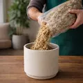 Mech torfowiec Sphagnum moss 5kg