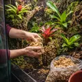 Mech torfowiec Sphagnum moss 5kg