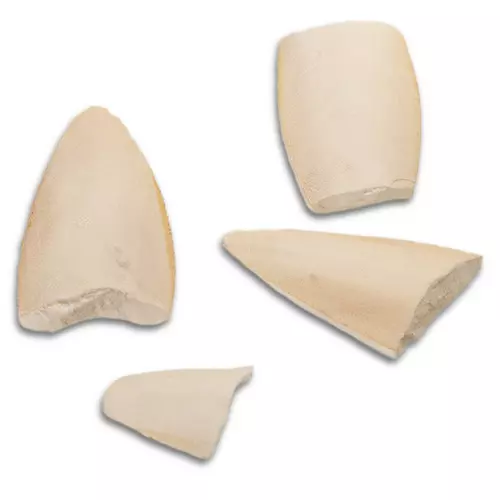 MediSepia Cuttlebone Cracks - sepia w kawa�kach naturalna 