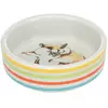 Miska Ceramiczna Dla Chomika 80ml / 8cm