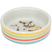 Miska Ceramiczna Dla Chomika 80ml / 8cm
