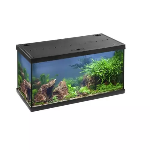 Mp Aquarien-Set Aquastar 54 Black Led