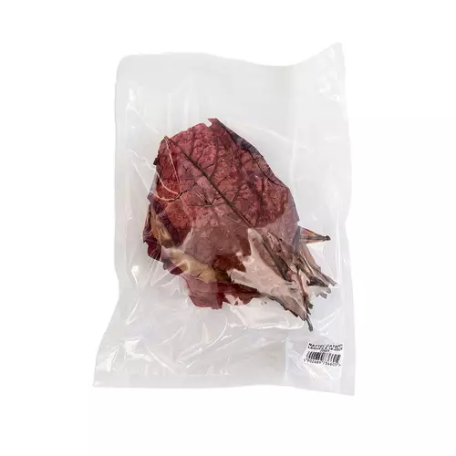 Nattec Catappa Leaves S 15-25cm 20szt.