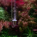 Neo Diffuser Curved Original M Clip - dyfuzor CO2 17mm z kolankiem