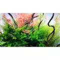 Neo Tabs Plant K - naw�z potasowy w tabletkach 