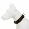 Obro�a Sk�ra �o� Strong Ko�a 50mm/65cm koniak