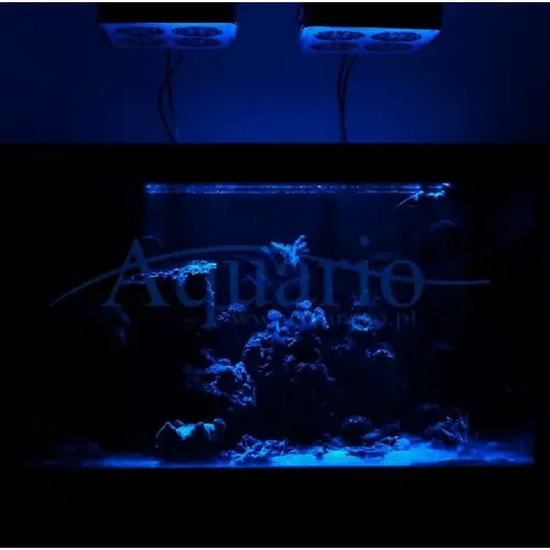O�wietlenie nocne LED 2w1 z pilotem [90cm] 