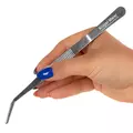 P�seta zagi�ta Kruger Meier [20cm]