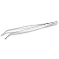 P�seta zagi�ta Kruger Meier [20cm]