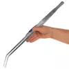 P�seta zagi�ta Kruger Meier [48cm]