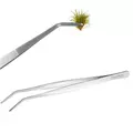 P�seta zagi�ta Kruger Meier [48cm]
