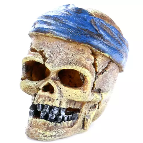 PIRATE SKULL HEAD-CRACK - Czaszka przepaska NIEBIESKA 7,2x6x7,8cm