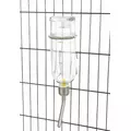 Poide�ko Dla Gryzoni 250ml