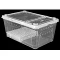 Pojemnik hodowlany BREEDING BOX