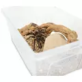 Pojemnik hodowlany BREEDING BOX