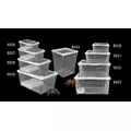 Pojemnik hodowlany BREEDING BOX