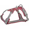 Premium Active, szelki, dla psa, bordowe, S: 35-50cm/15mm