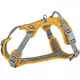 Premium Active, szelki, dla psa, curry, S: 35-50cm/15mm