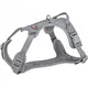 Premium Active, szelki, dla psa, grafit, M: 49-69cm/20mm
