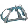 Premium Active, szelki, dla psa, petrol, L: 69-87cm/25mm