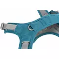 Premium Active, szelki, dla psa, petrol, L-XL: 74-100cm/25mm