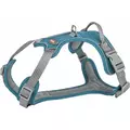 Premium Active, szelki, dla psa, petrol, M-L: 60-75cm/25mm