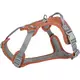 Premium Active, szelki, dla psa, rdzawe, S-M: 39-56cm/15mm