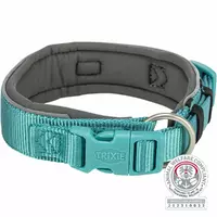 Premium, obroża, dla psa, aqua/grafit, S-M: 33-42cm/35mm