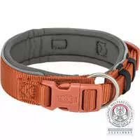 Premium, obroża, dla psa, rdzawa/grafit, XS-S: 27-35cm/25mm