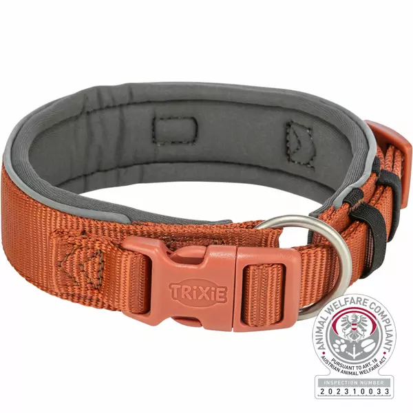 Premium, obro�a, dla psa, rdzawa/grafit, XS-S: 27-35cm/25mm