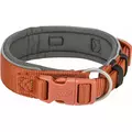 Premium, obro�a, dla psa, rdzawa/grafit, XS-S: 27-35cm/25mm