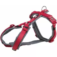 Premium trekking, szelki, dla psa, czerwony/grafit, taśma parciana, M: 53-64cm/20mm