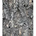 Progrow Cork Bark 40-50cm 1kg