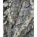 Progrow Cork Bark 40-50cm 1kg