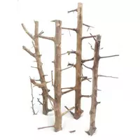 Progrow Tree Wood Xl 60-100cm 1szt.