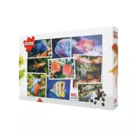 Puzzle Juwel 1000 element�w V1