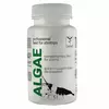 QualDrop ALGAE [30g] - pokarm dla krewetek