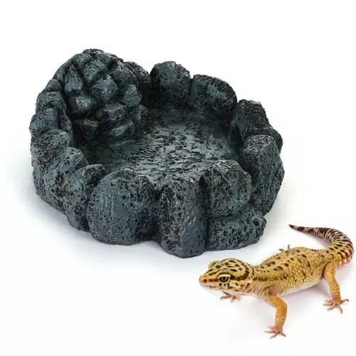 R203 miska na wod� terrarium S