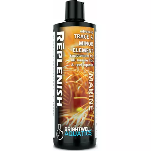Replenish 125ml (AQ)