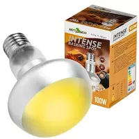 Repti-Zoo Intense Basking Spot 100W - �ar�wka grzewcza