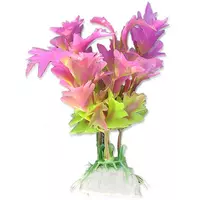 Ro�lina blister 10cm 1b15 Happet