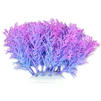Ro�lina folia 10cm 1f04 Happet