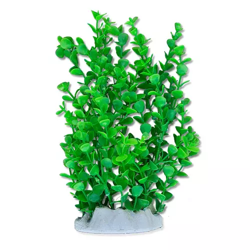 Ro�lina folia 20cm 2f13